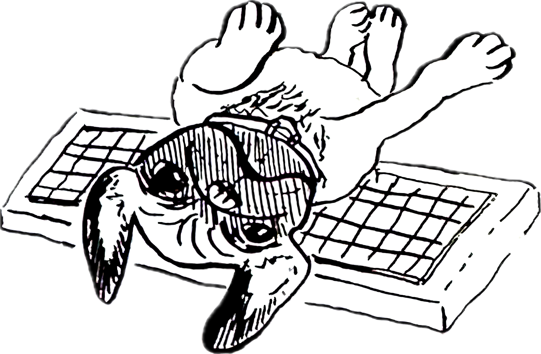 Virginia Commonwealth University